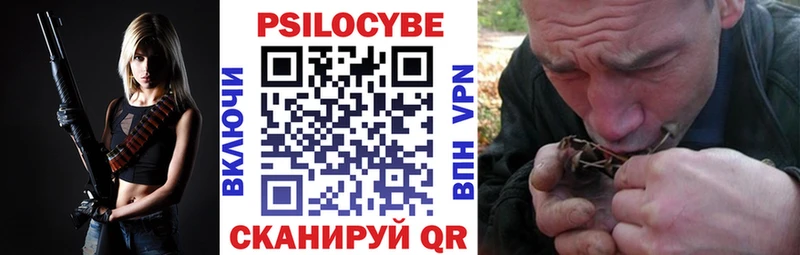 Псилоцибиновые грибы Psilocybe  Касли 